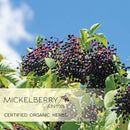 Elderberry Honey Tonic-11