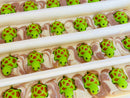 Turtle Handmade Soap Bar VEGAN COLD PROCESS-8