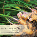 Ginger Honey Tonic — promotes healthy digestion-11
