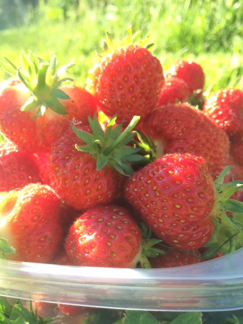 Strawberries